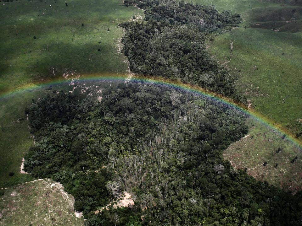 Amazon forest aerial rainbow Brazil