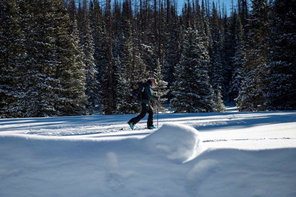 A skier glides above the snow near Cameron Pass on Jan. 15.