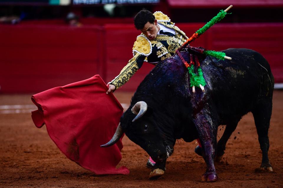 Une corrida à Mexico le 5 février 2022. - Pedro PARDO / AFP