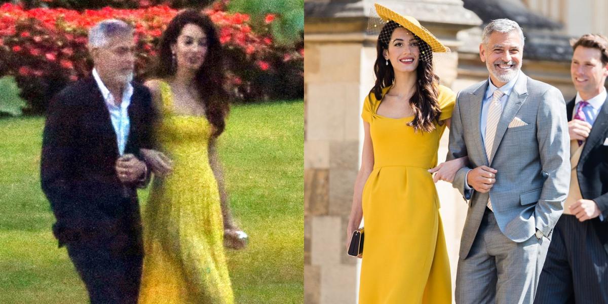 You can now buy Amal Clooney's royal wedding dress – Buy Amal Clooney's  yellow Stella McCartney dress from the royal wedding