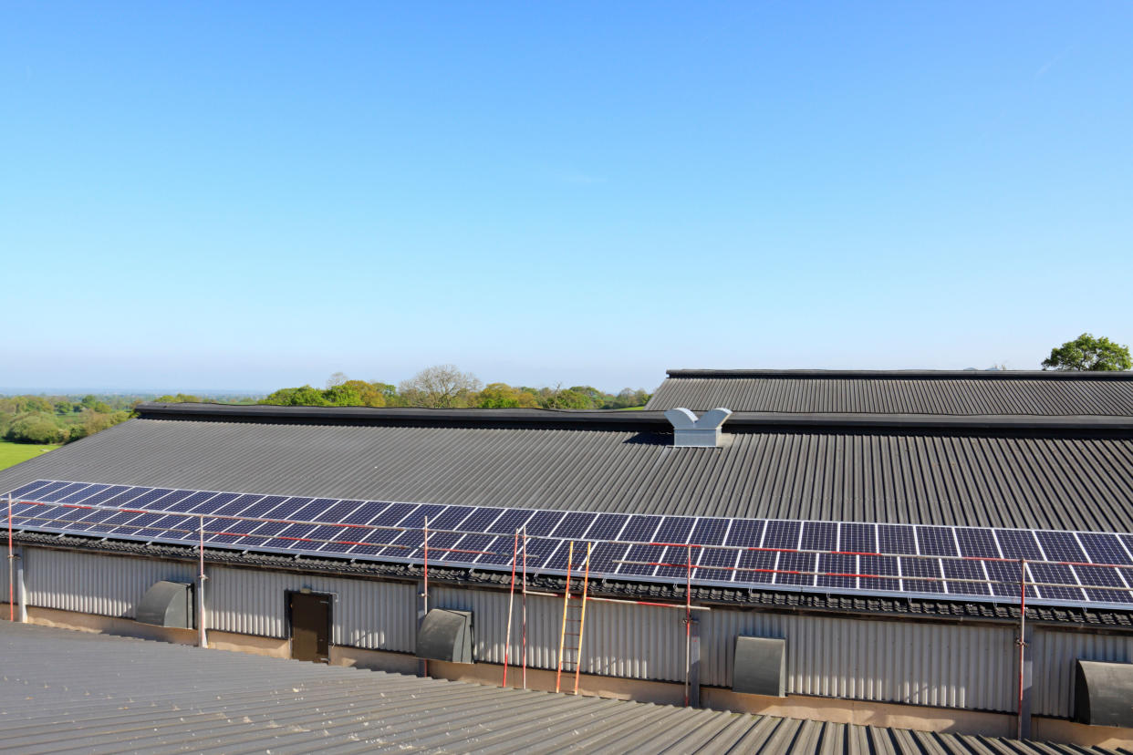 Solar panels on the roof of a poultry shed