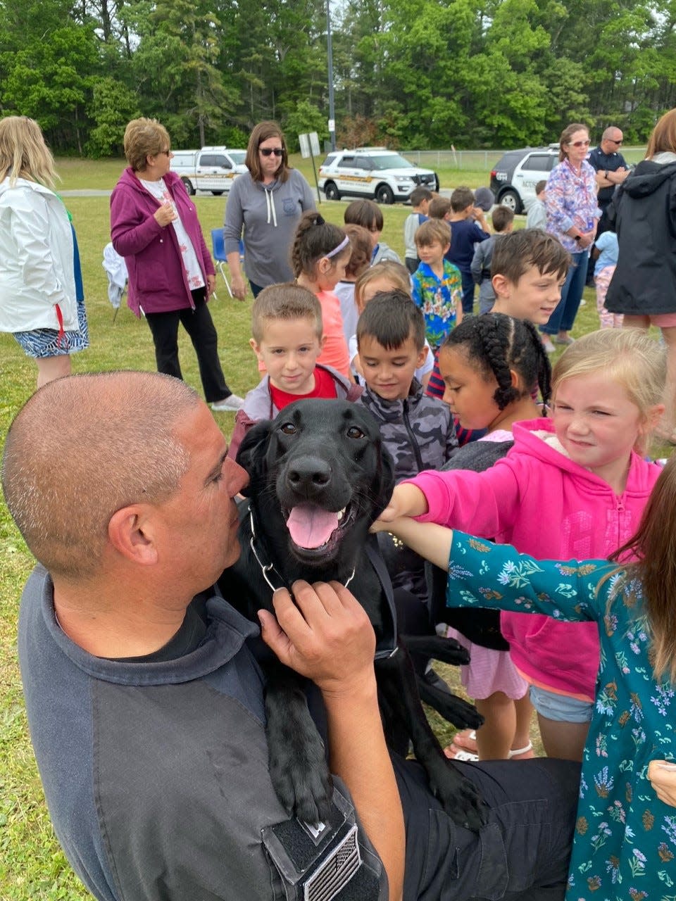 Capt. Paul Douglas of the Bristol County Sheriff's Department is seen with Huntah, the labrador retriever he handles, as children from Acushnet Elementary School enjoy their company at a public safety activity day on Wednesday, June 1.