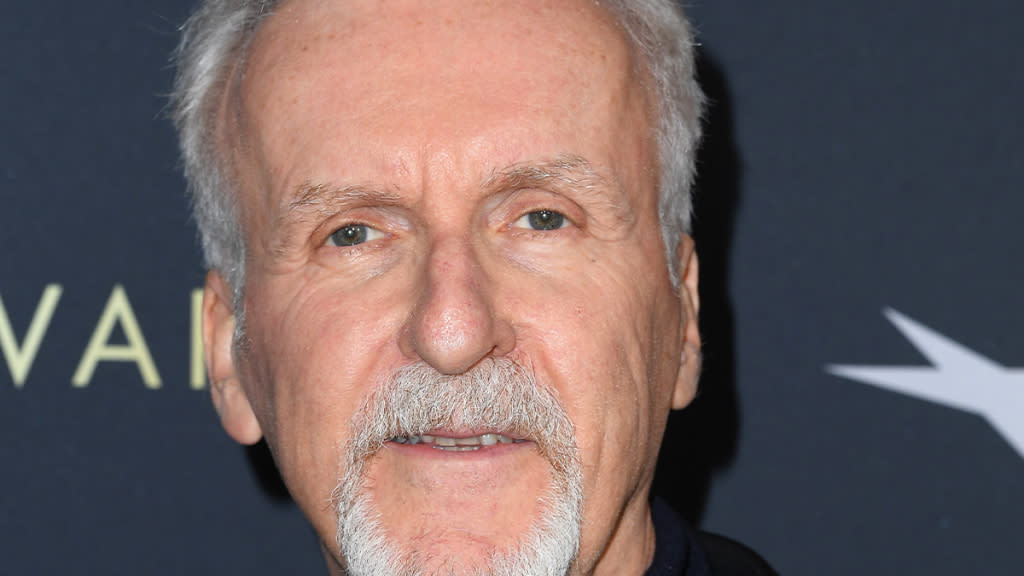 OceanGate Co-Founder Disputes James Cameron's Comments on Titan Submarine