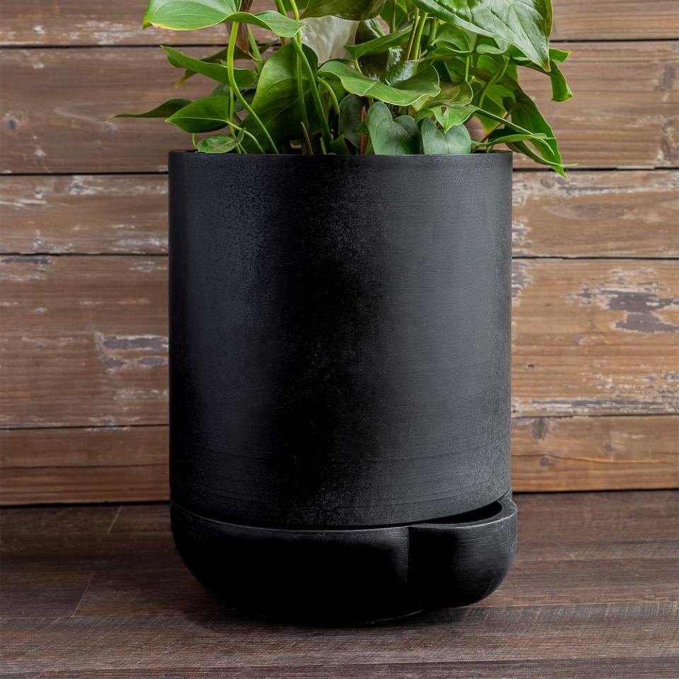 1) The Simple Self-Watering Pot