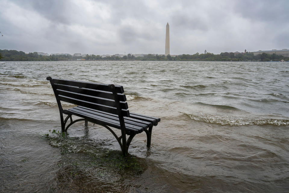 The tidal basin in Washington, DC overflowed with water on Saturday.