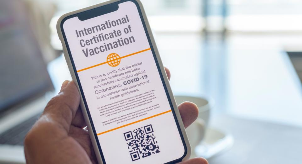 A vaccine 'passport' could soon be required to travel (stock image used) (Getty)