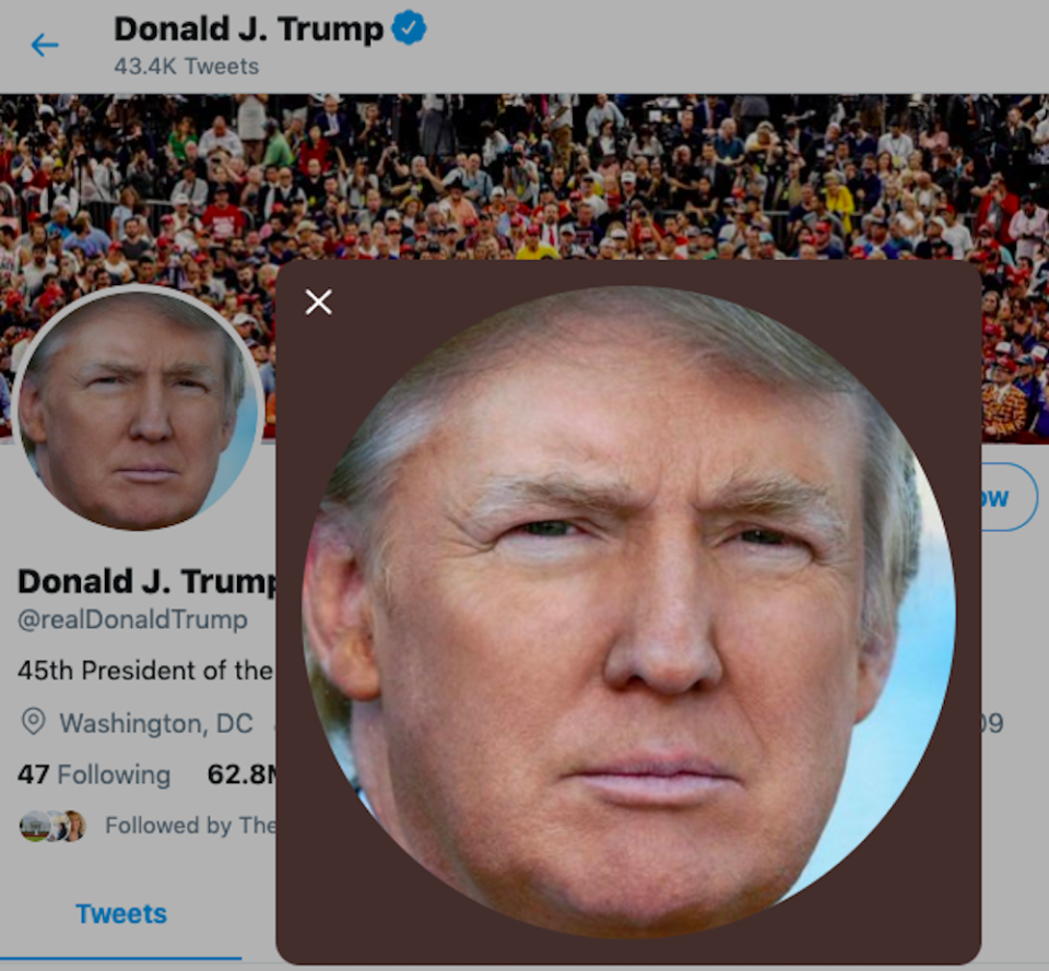 Donald Trump's Twitter page.