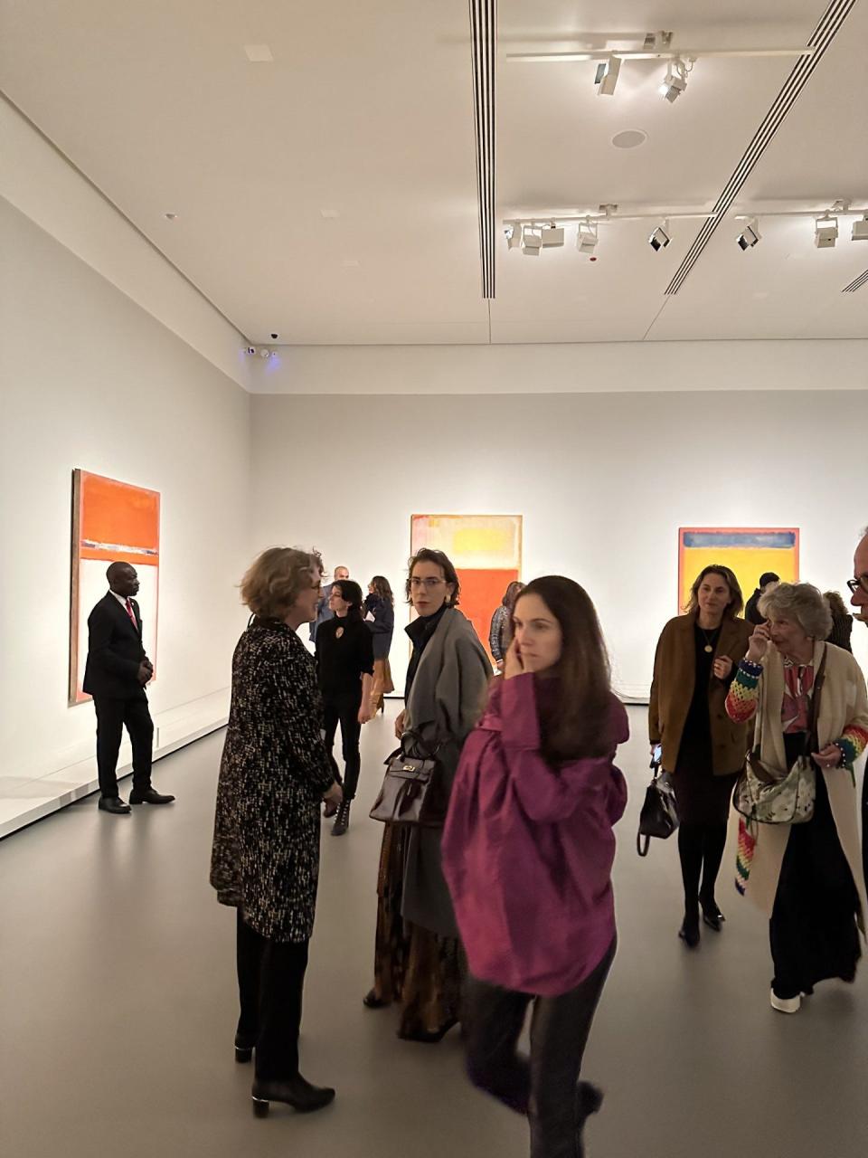 The Foundation Louis Vuitton in Paris hosts the opening night of the Rothko retrospective exhibition.