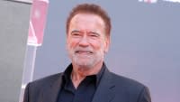 Arnold Schwarzeneggers Familys Quotes On His Affair