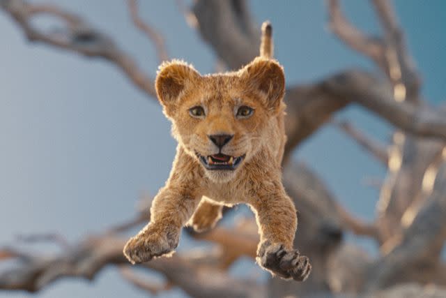 <p>Disney</p> A still from 'Mufasa: The Lion King'