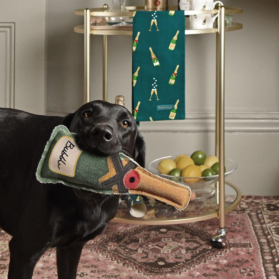 <p><a class="link " href="https://www.sophieallport.com/collections/pet-toys/products/bubbles-fizz-dog-toy" rel="nofollow noopener" target="_blank" data-ylk="slk:BUY NOW, £10;elm:context_link;itc:0;sec:content-canvas">BUY NOW, £10</a></p><p>We mustn't forget our pets in the family celebrations, and this gorgeous dog toy will make sure he's matching with all the festivities.</p>