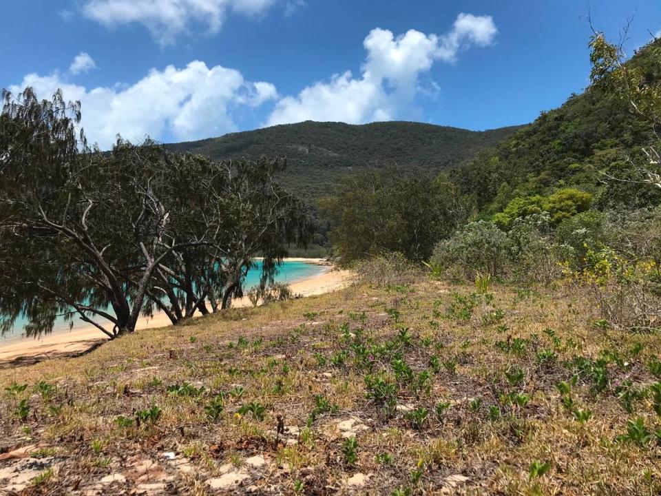 One of the beaches of Scawfell Island.