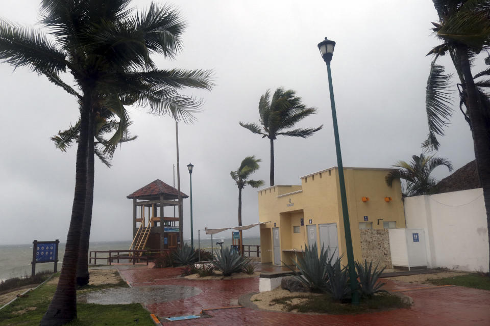 Palm trees blowing in the wind before Hurricane Agatha made landfall in Huatulco, Mexico, on Monday.