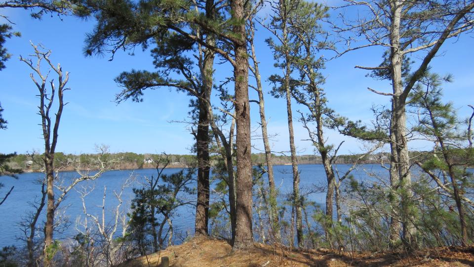 Looking over Upper Mill Pond in Brewster from Eagle Point.