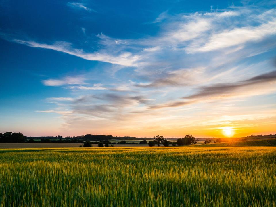 The Lost Garden Retreat is surrounded by Suffolk countryside (Getty Images/iStockphoto)