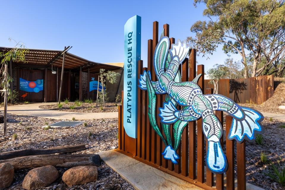 The Platypus Rescue HQ at the Taronga Western Plains Zoo in Dubbo, Australia. It is the world’s largest dedicated conservation center for the species, focusing on the breeding behavior and biology of platypuses.