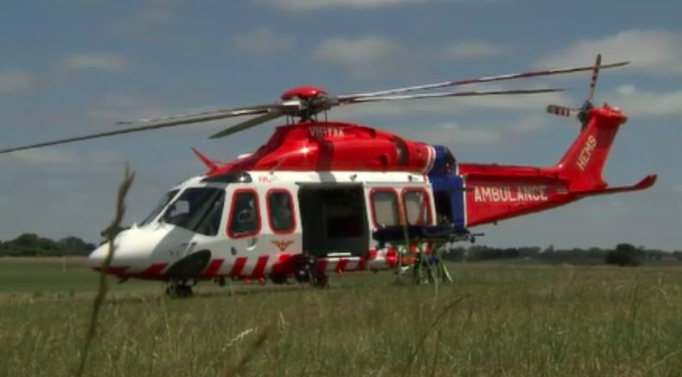 An air ambulance arrived but Darcy couldn’t be saved. Source: 7News