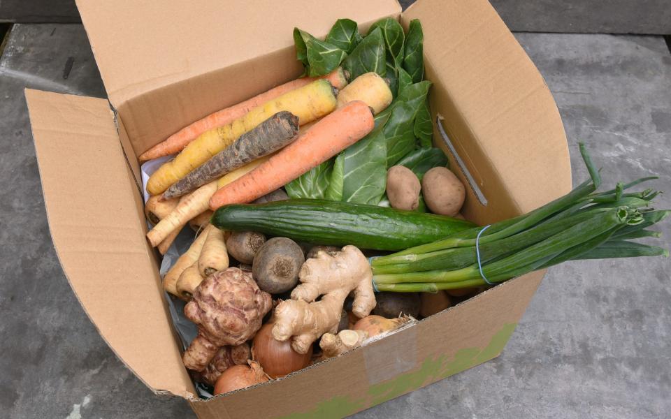 The Great British Box Off: which veg box is best for quality and value?