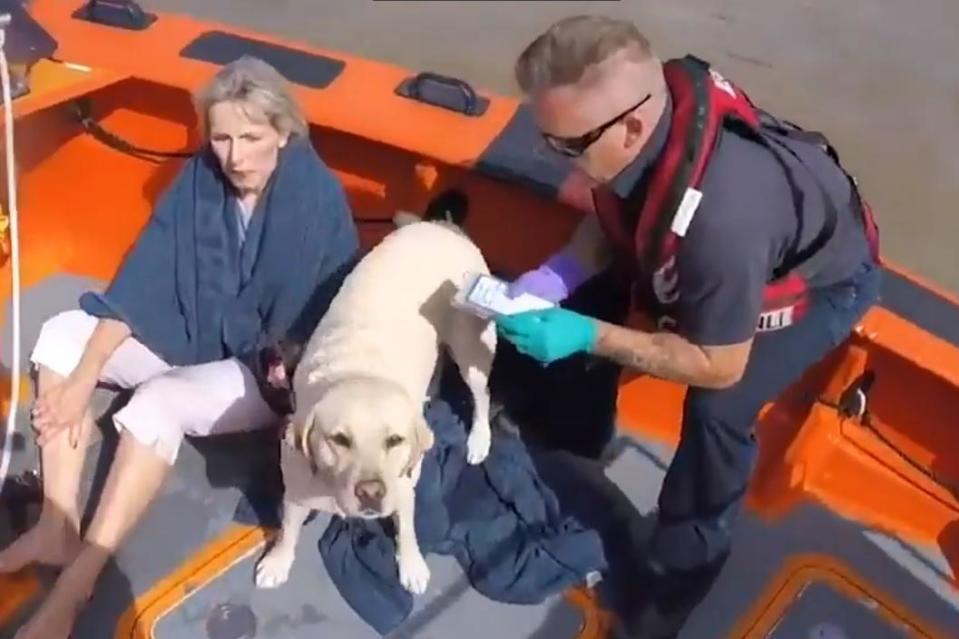 Neither the dog nor its owner were injured (RNLI)