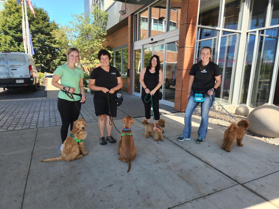 Ally Piontek, from left, Connie Maedke, Shana Kleckner and Kailey Giese, go out on a Puppy Day School field trip for Practical Obedience Dog Training