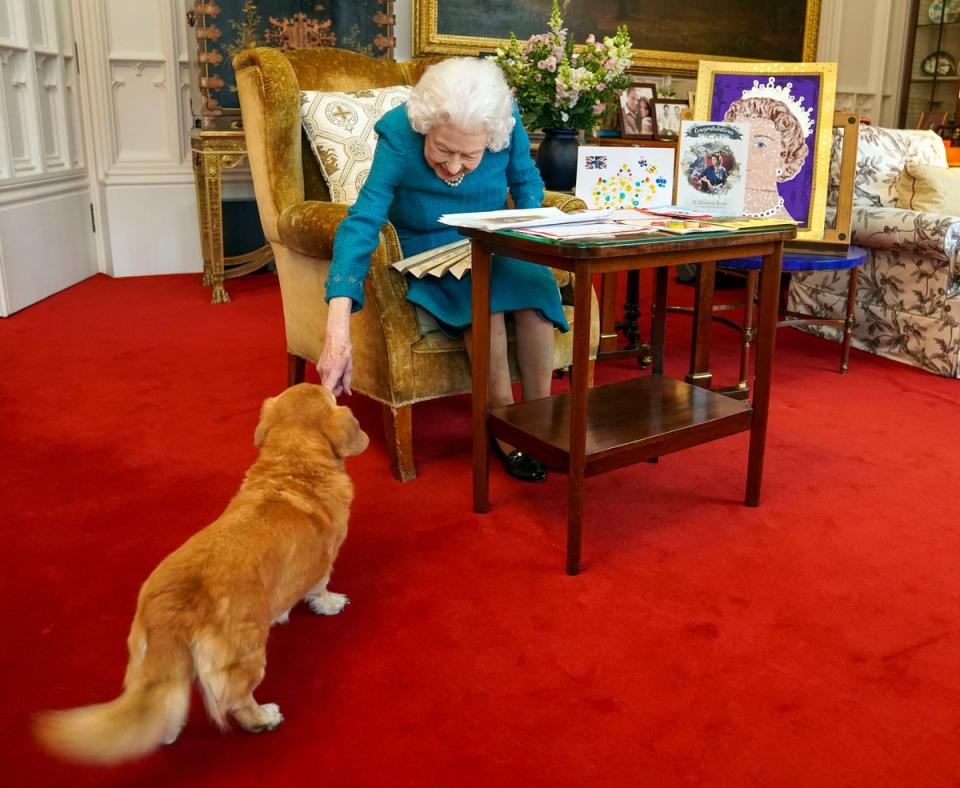 Queen Elizabeth II is joined by one of her dogs, a Dorgi called Candy, as she views a display of memorabilia from her Golden and Platinum Jubilees in the Oak Room at Windsor Castle. (PA)