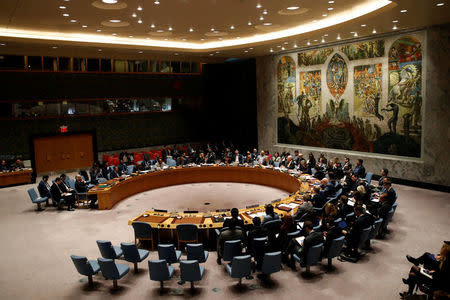 FILE PHOTO - The United Nations Security Council meets on Syria at the U.N. headquarters in New York, U.S., March 12, 2018. REUTERS/Mike Segar