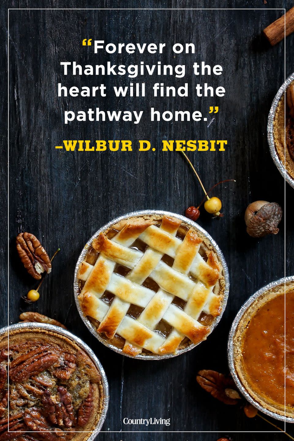 31) Wilbur D. Nesbit