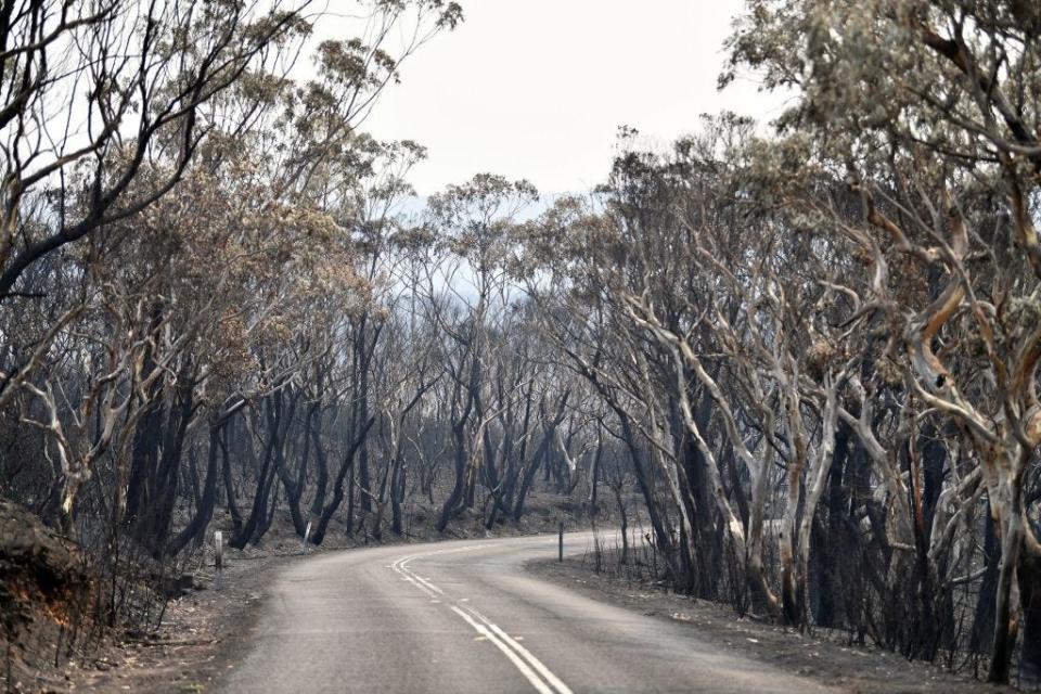 australia bushfire