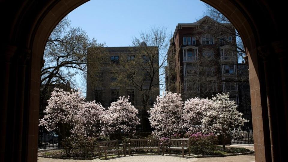 Trees bloom on the campus of Yale University in New Haven, Connecticut. The Department of Justice, headed by Attorney General Bill Barr, has sued Yale for allegedly discriminating against white and Asian applicants. (Photo by Christopher Capozziello/Getty Images)