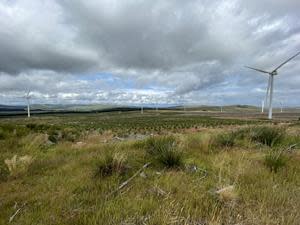 Andershaw wind farm