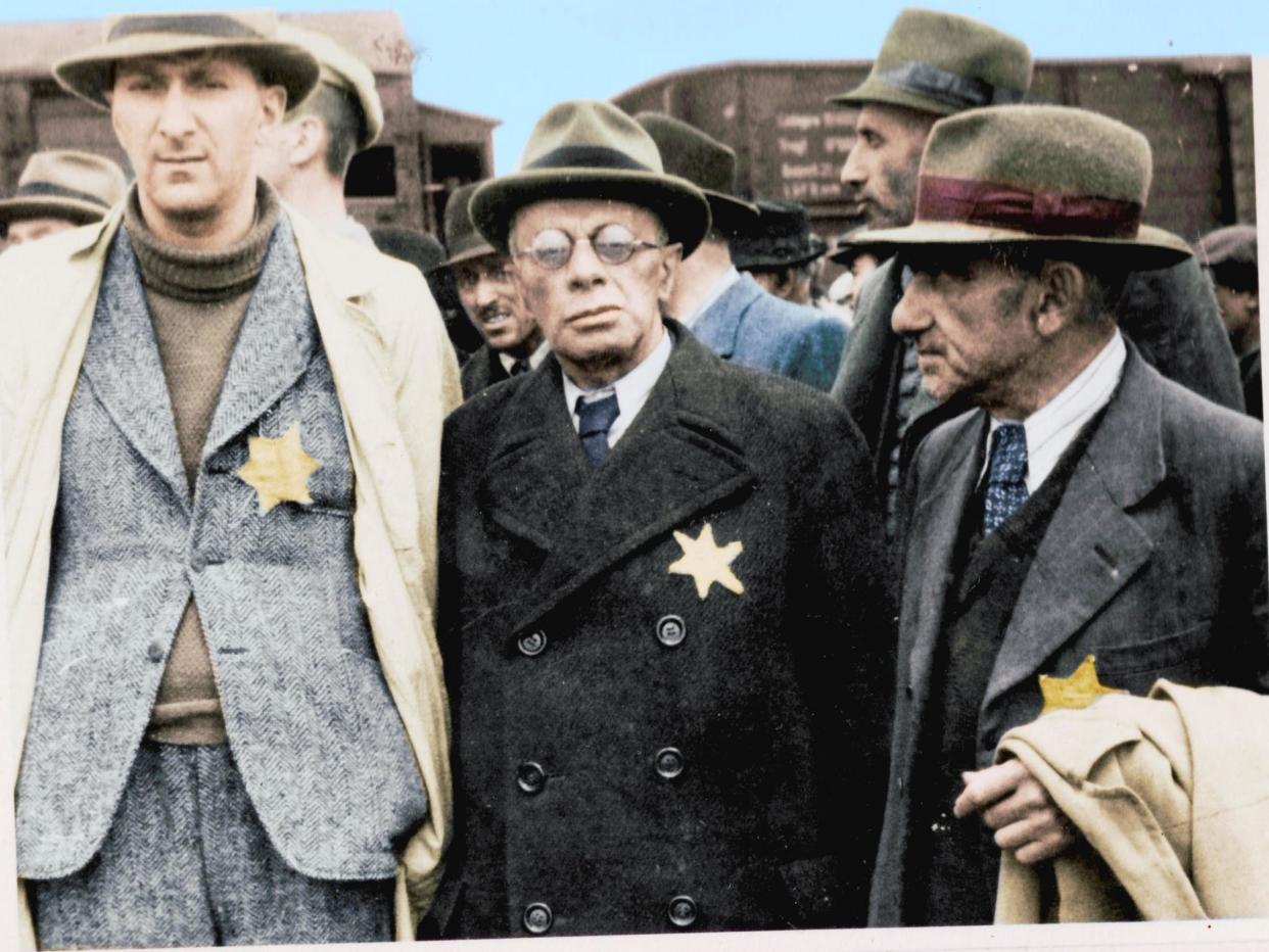 Jewish captives arrive at Auschwitz-Birkenau wearing the Star David: The Auschwitz Album - Serge Klarsfeld/Lily Jacob-Zelmanovic Meier