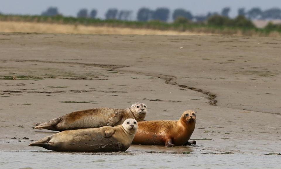 <span>Photograph: Gareth Fuller/PA</span>