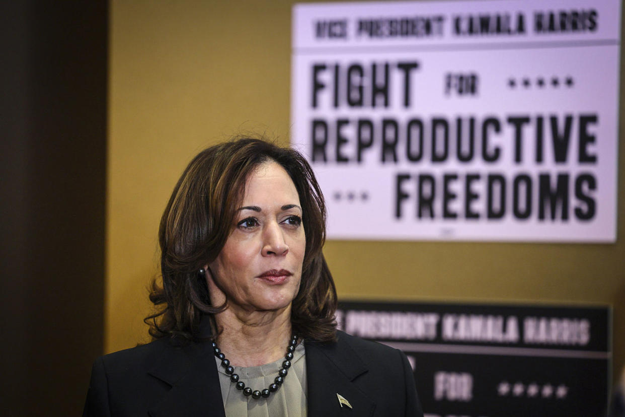 Image: Vice President Kamala Harris (Adam Bettcher / AP)