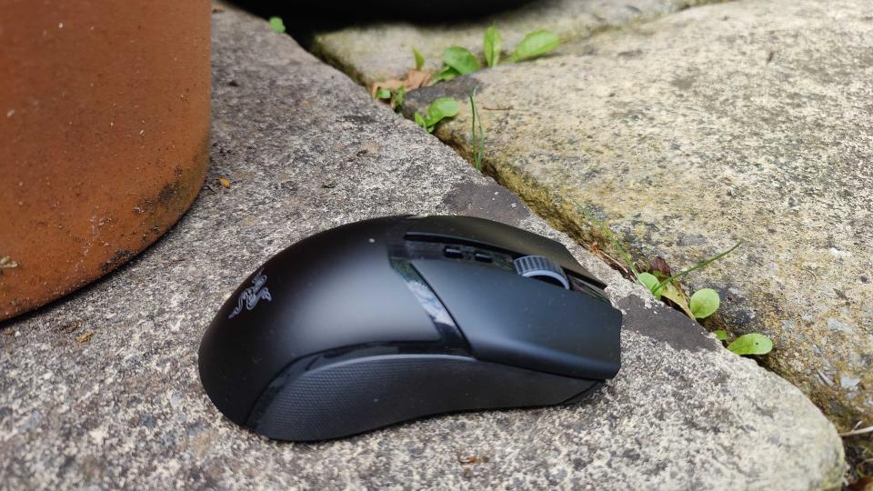 Razer Cobra Pro, a wireless mouse in the wild