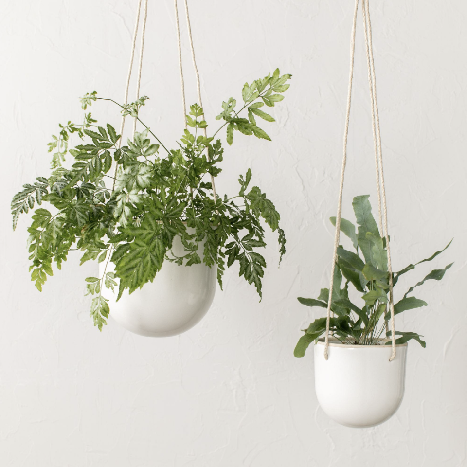 <p><a href="https://go.redirectingat.com?id=74968X1596630&url=https%3A%2F%2Fwww.westelm.com%2Fproducts%2Flcl-convivial-arched-hanging-planter-d11827&sref=https%3A%2F%2Fwww.goodhousekeeping.com%2Fhome-products%2Fg43784546%2Fbest-indoor-hanging-planters%2F" rel="nofollow noopener" target="_blank" data-ylk="slk:Shop Now;elm:context_link;itc:0;sec:content-canvas" class="link ">Shop Now</a></p><p>Convivial Arched Hanging Planter</p><p>$68.00</p><p>westelm.com</p><span class="copyright">West Elm</span>