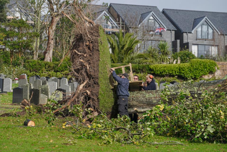 Council workers attempt to retrieve a memorial bench from the ground where two trees brought down overnight in Falmouth, Cornwall (Getty Images)