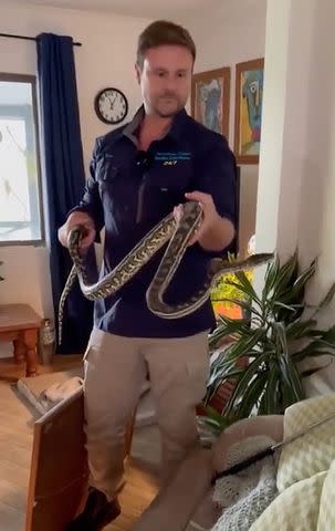 <p>Sunshine Coast Snake Catchers</p> Dan informs the residents that the snake is a carpet python.