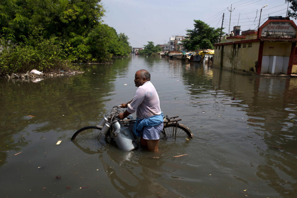 <p>An Indian milkman wades through flooded water with his bicycle in Varanasi, India, Friday, Aug. 26, 2016. (AP Photo/Tsering Topgyal)</p>