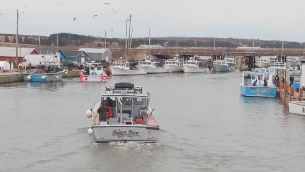 Ground search team unable to locate missing Island fisherman