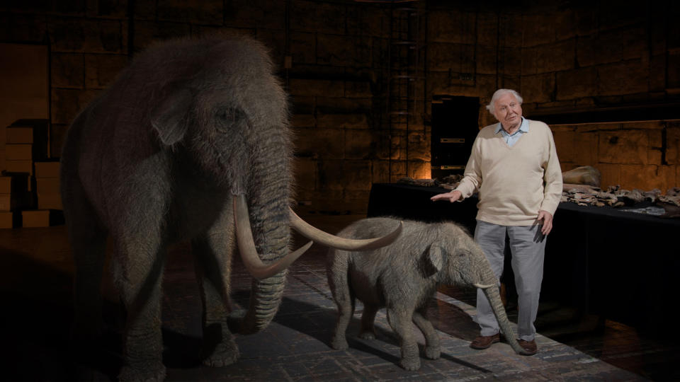 Programme Name: Attenborough and the Mammoth Graveyard - TX: 30/12/2021 - Episode: Attenborough and the Mammoth Graveyard (No. n/a) - Picture Shows:   - (C) Windfall Films - Photographer: -