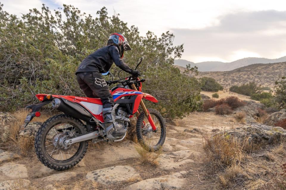 The Honda CRF300L in action (David Williams)