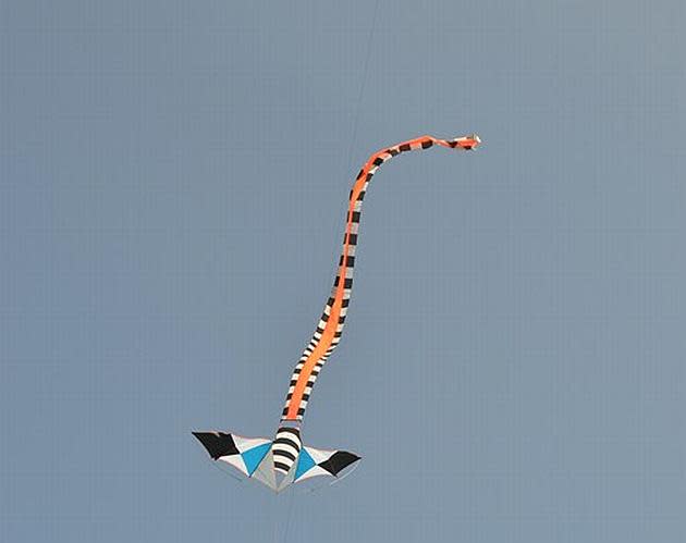 A snake kite on a tailspin