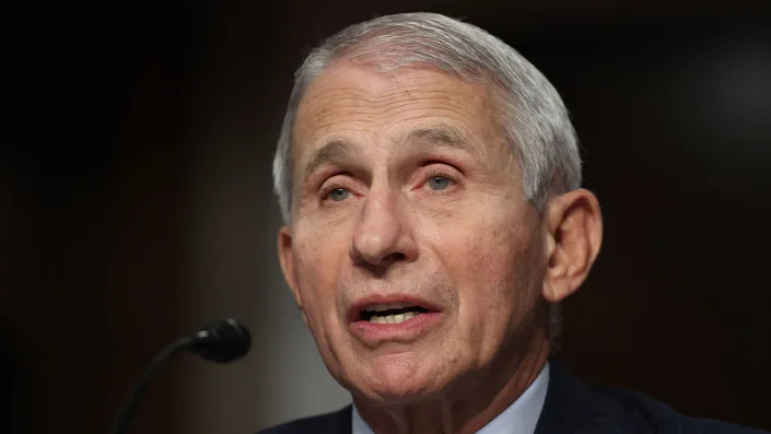 National Institute of Allergy and Infectious Diseases Director Anthony Fauci testifies before the Senate Health, Education, Labor, and Pensions Committee on Capitol Hill on Nov. 4, 2021 in Washington, D.C. <span class="copyright">Chip Somodevilla/Getty Images</span>