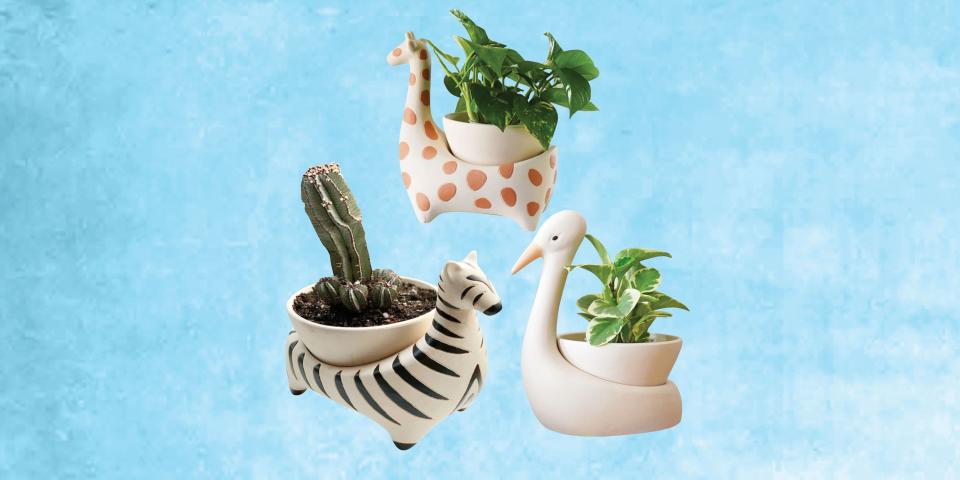 Justina Blakeney Just Launched the Cutest Collection of Planters