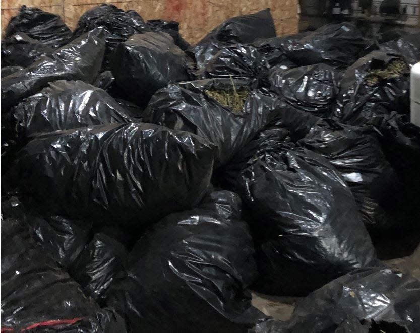 Garbage bags full of marijuana seized at an illegal operation north of Salem Sunday, Nov. 14, 2021.