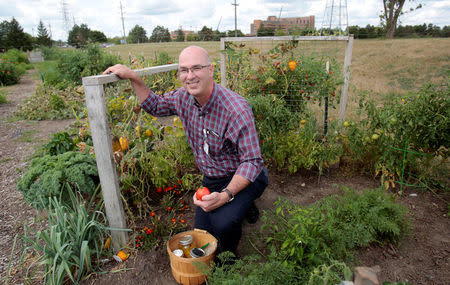 Dr. Brian Halloran. a vascular surgeon at Saint Joseph Mercy Ann Arbor, shows the vegetables he's growing in his garden across from Saint Joseph Mercy hospital in Ypsilanti, Michigan, U.S., August 23, 2017. Picture taken August 23, 2017. REUTERS/Rebecca Cook