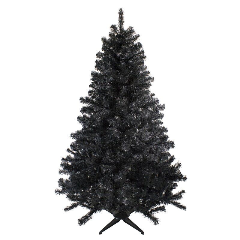 10) 6' Unlit Black Colorado Spruce Tree