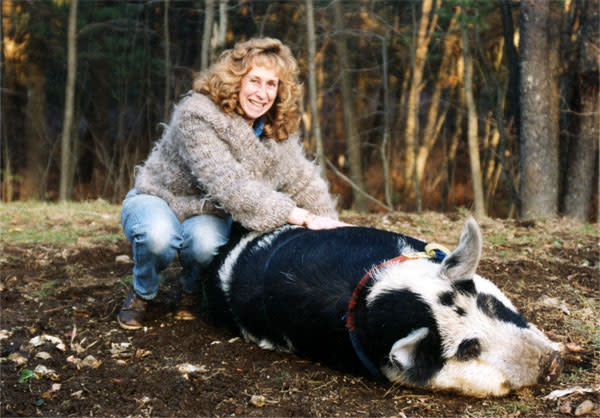 THE GOOD GOOD WRITER: Sy Montgomery, author of The Good Good Pig: The Extraordinary Life of Christopher Hogwood.