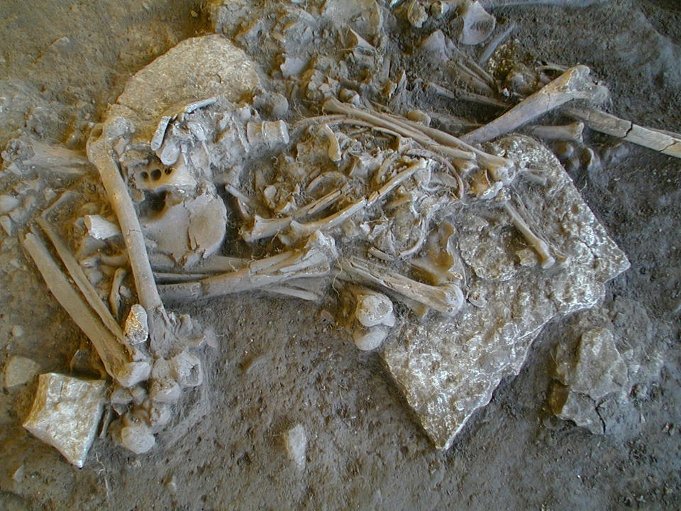 Neolithic bones piled up inside a grave at Falbygden, Sweden.