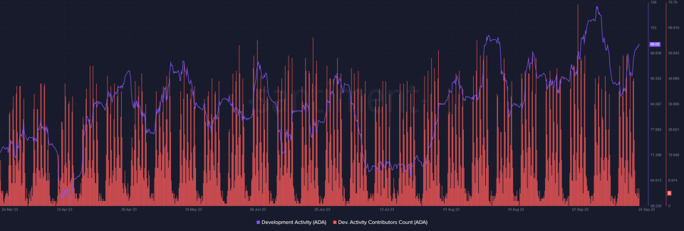 Aumento en la actividad de desarrollo de Cardano